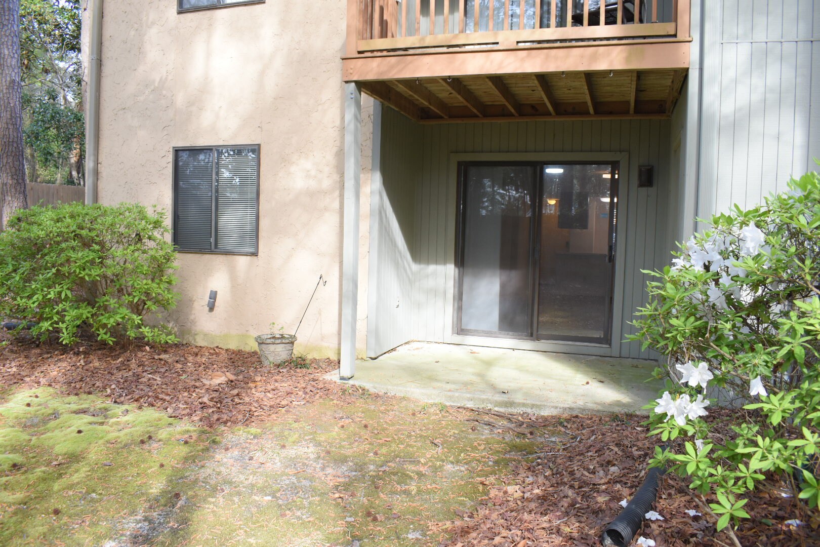 Building Photo - 3631 Saint Johns Ct
