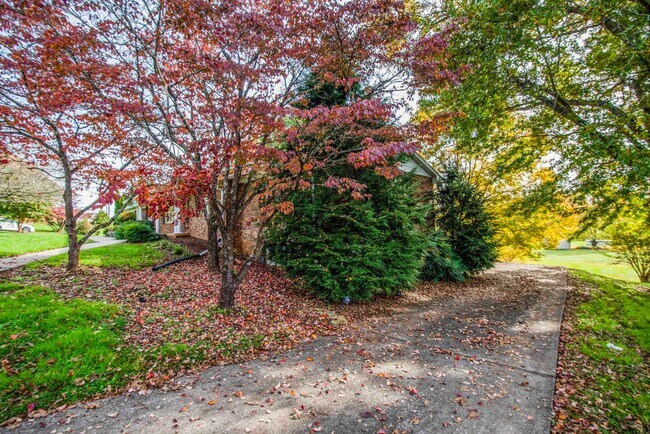 Building Photo - Halls 37938 - 4 bedroom, bath home with 4 garage spaces - Call Susan Niedergeses 865-300-4722