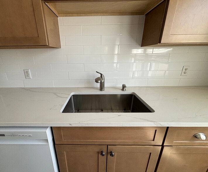 Brand new cabinets, granite countertops, sink and appliances - 206 Echo Lake Rd