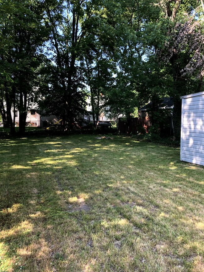 Large backyard - 25 5th Ave