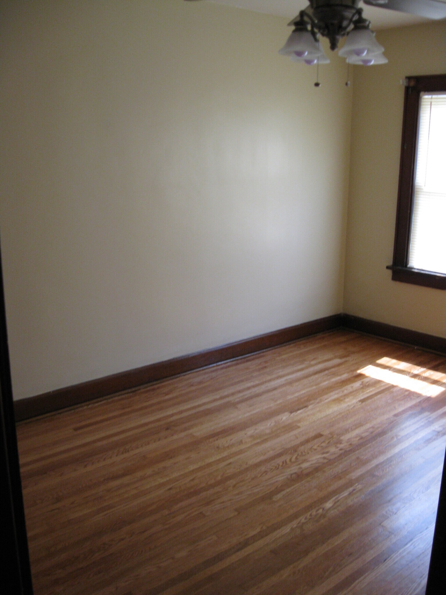 Building Photo - 495 Wyandotte Ave