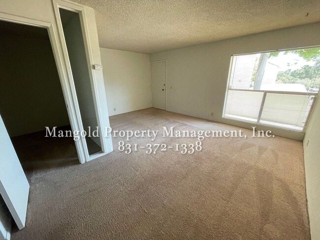 Building Photo - Beautiful Condo Located At Ocean Forest Condominiums - ALL UTILITIES INCLUDED- Access to Pool, Sa...