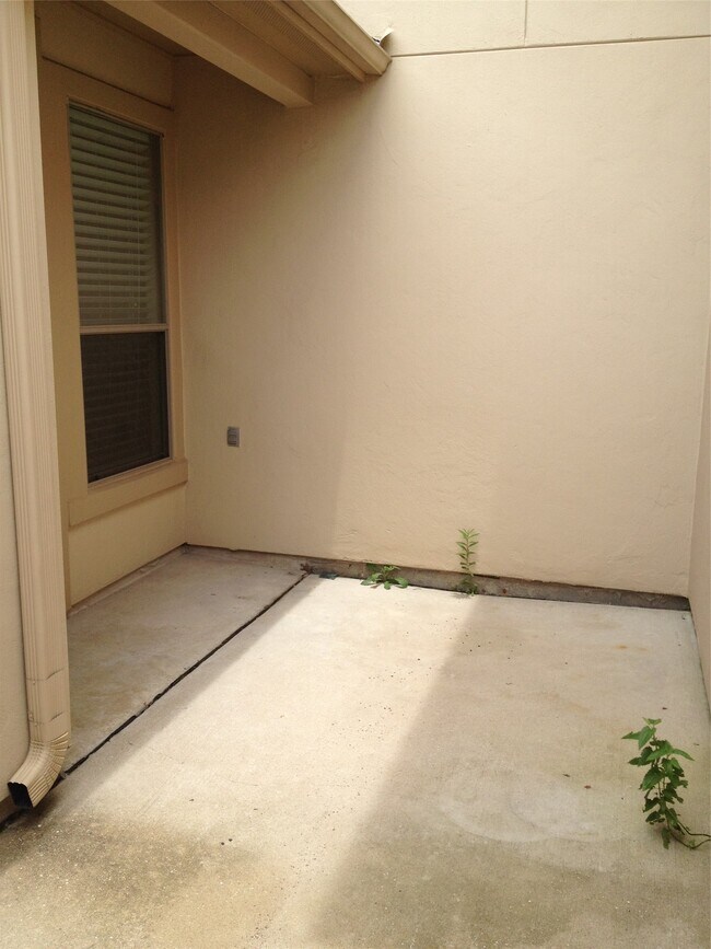 Building Photo - 2038 Palm Forest Ln