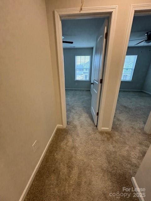 Building Photo - 306 Planters Trace Ln