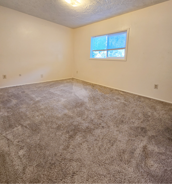 Building Photo - 1286 Blaine Ave