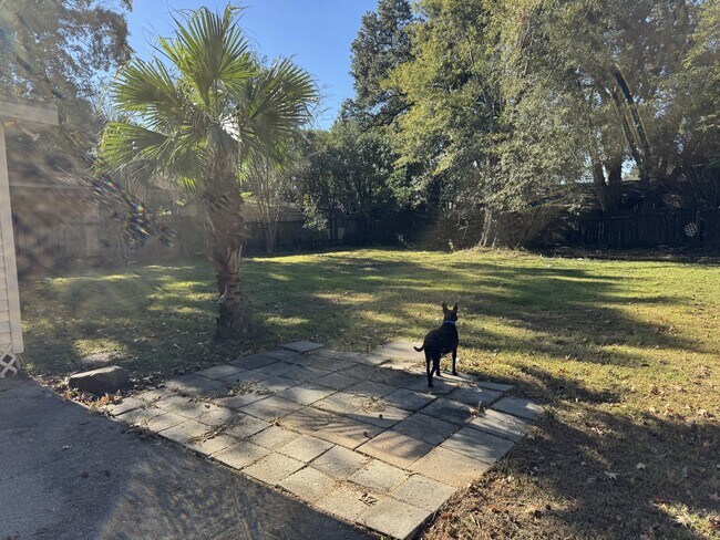 Building Photo - 212 Hazelnut St