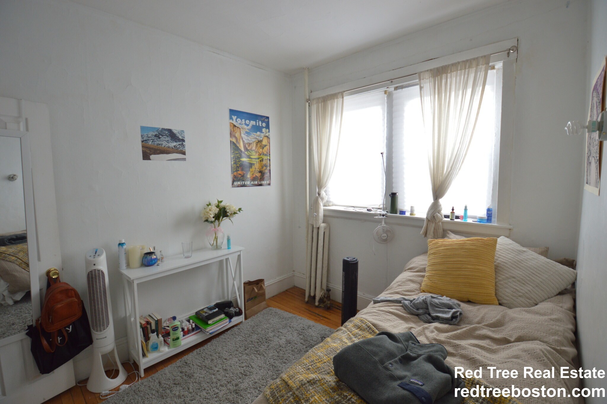 Building Photo - 56 Egmont St