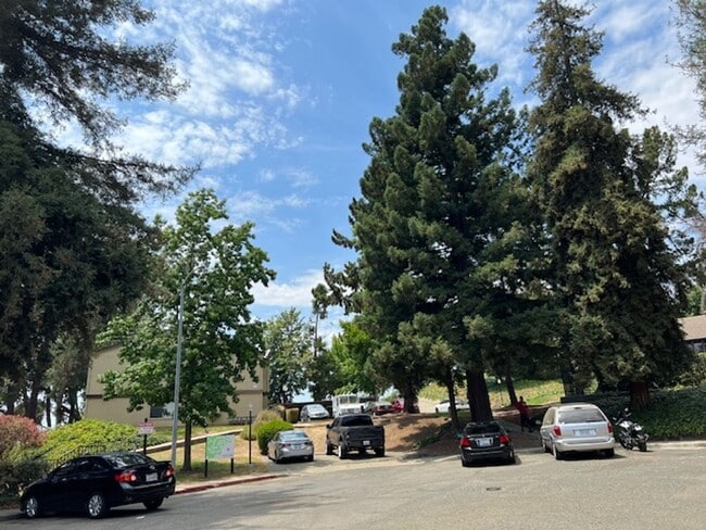 Building Photo - Beautifully remodeled 1 bedroom & 1 bath unit near Six Flags in Vallejo