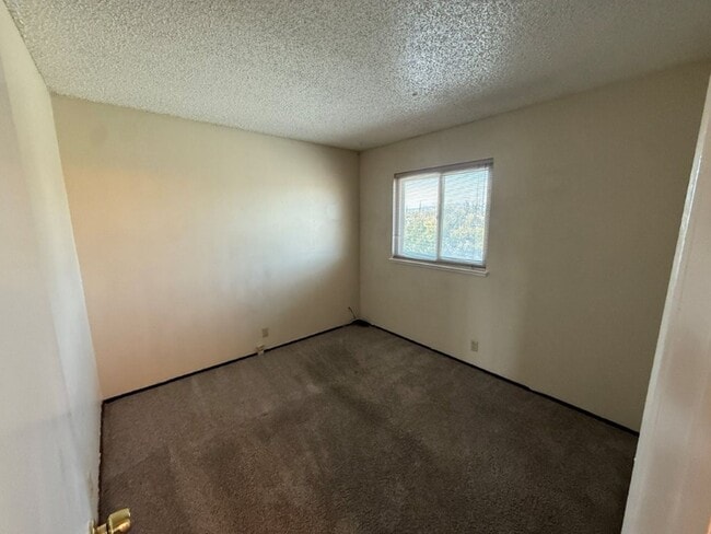 Building Photo - 1003 Blackspur Ct