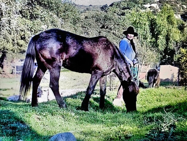 Building Photo - 14519 Rios Canyon Rd