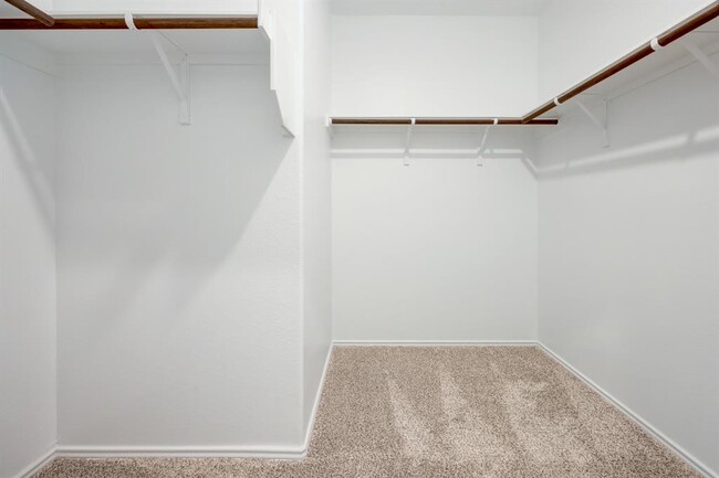 Building Photo - 2817 Dezmond Diamond Ct