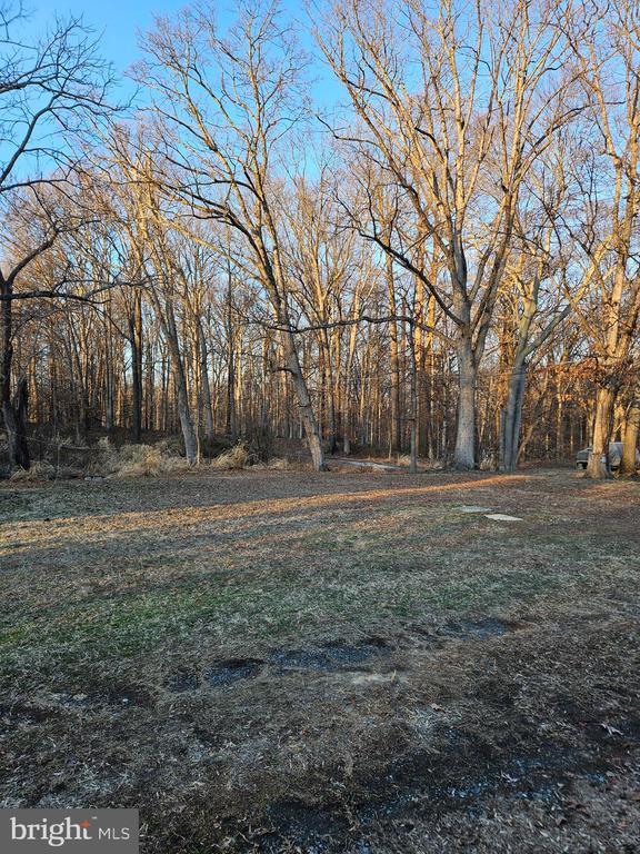 Building Photo - 7204 Webster Ln