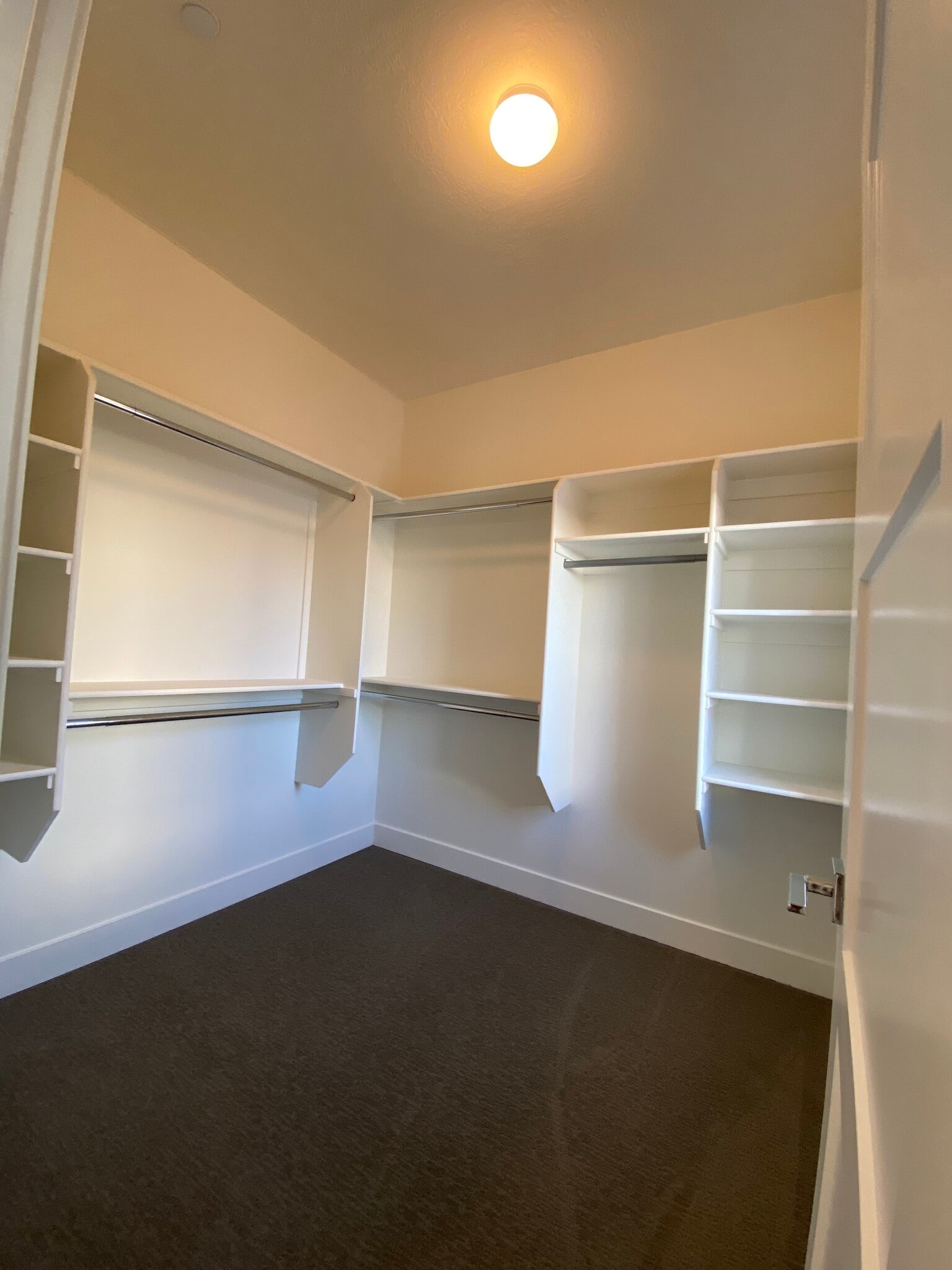 Building Photo - 6996 S Brookhill Dr