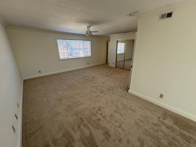 Building Photo - Spacious East Ventura Home- Many Interior Upgrades and Large Backyard!