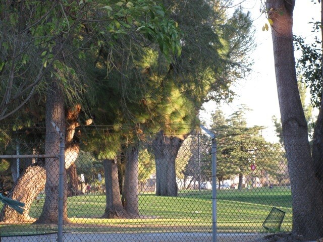 Building Photo - 6541 Odessa Ave