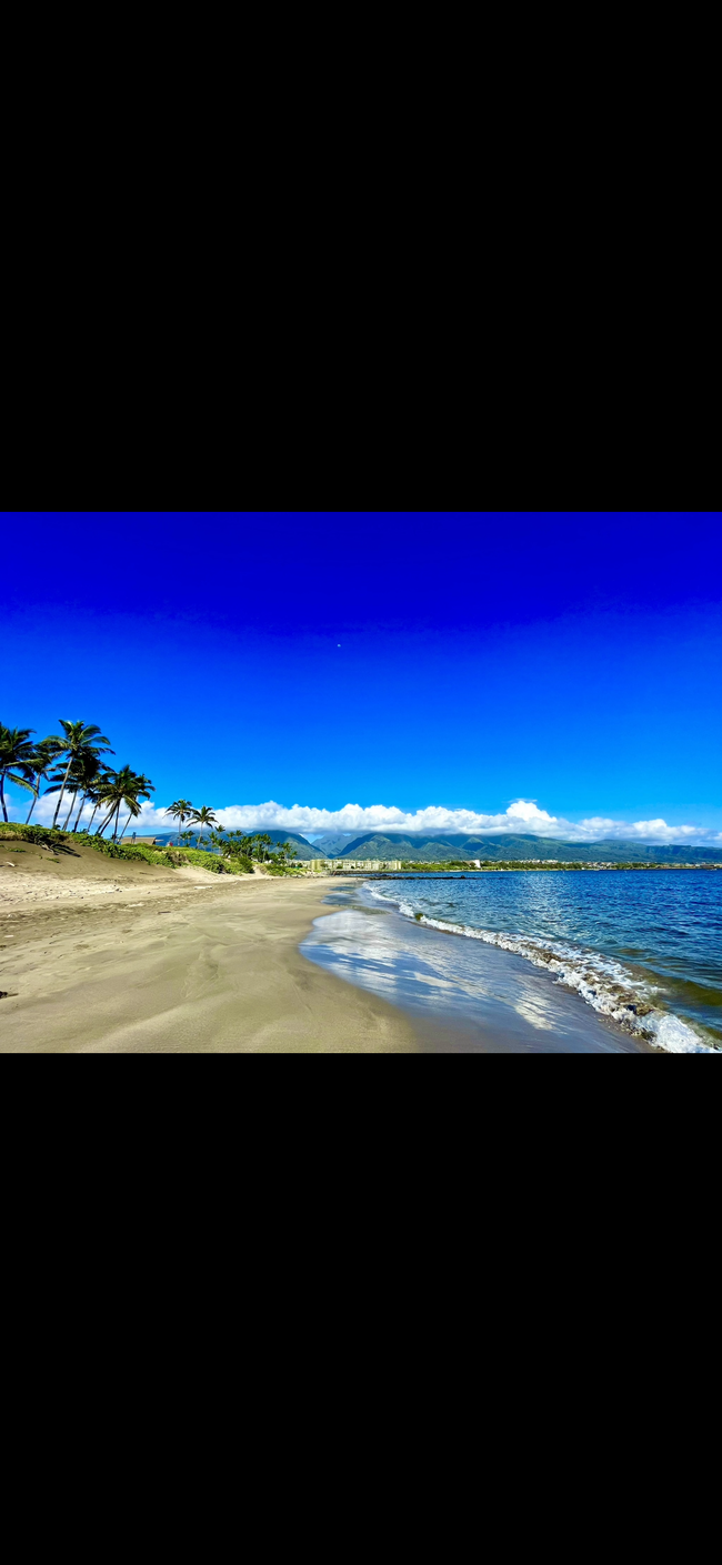 Beach across the street - 111 Kahului Beach Rd