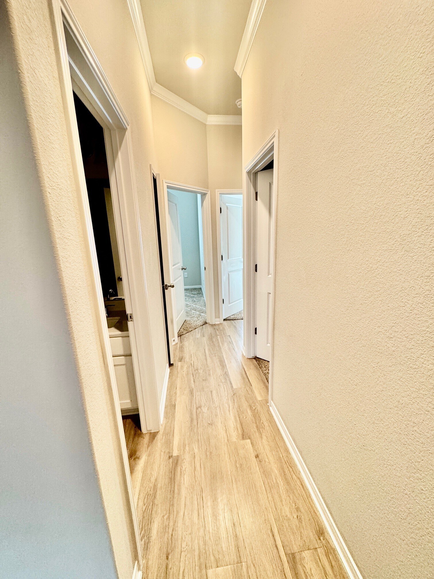 Building Photo - 7308 Rosado Dr