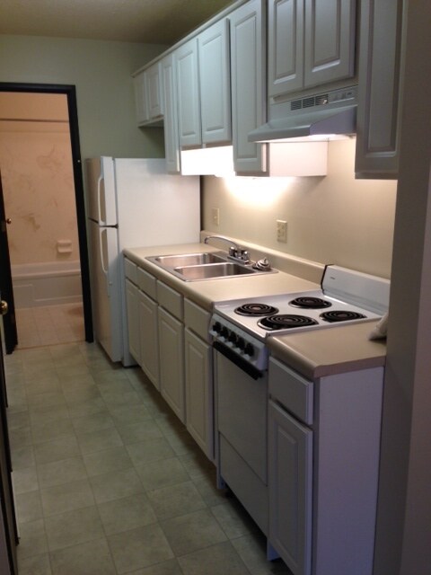 Kitchen - 161 Hubbard W Ave