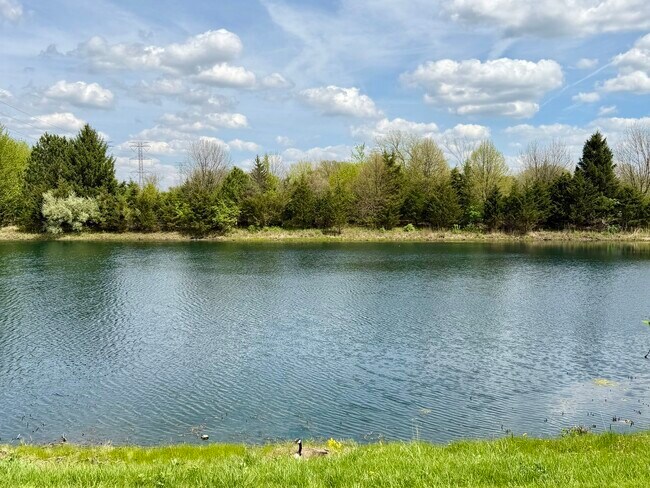 Building Photo - 1580 McClure Rd