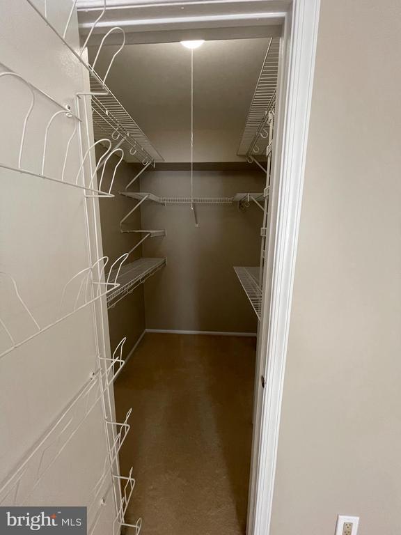 Building Photo - 5207A Adelaide Dr