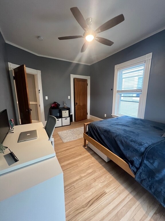 Building Photo - 43 Robinson St