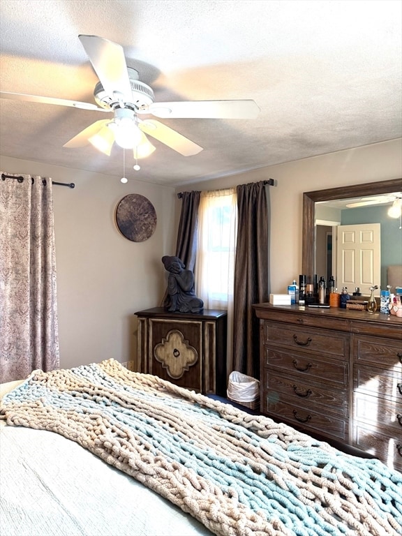 Building Photo - 5 Fred St