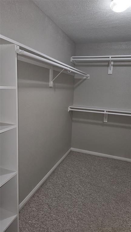 Building Photo - 16 Brenda Ln