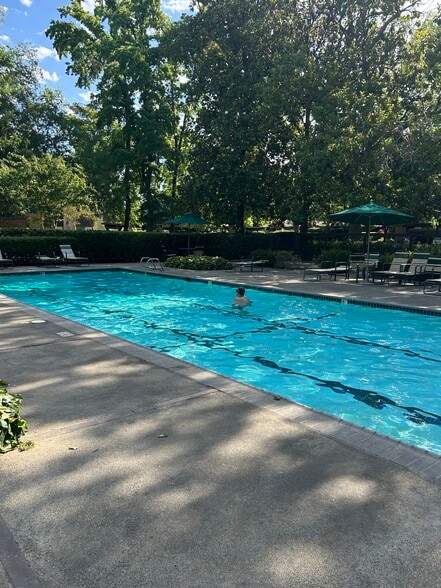 Pool - 871 Woodside Ln E