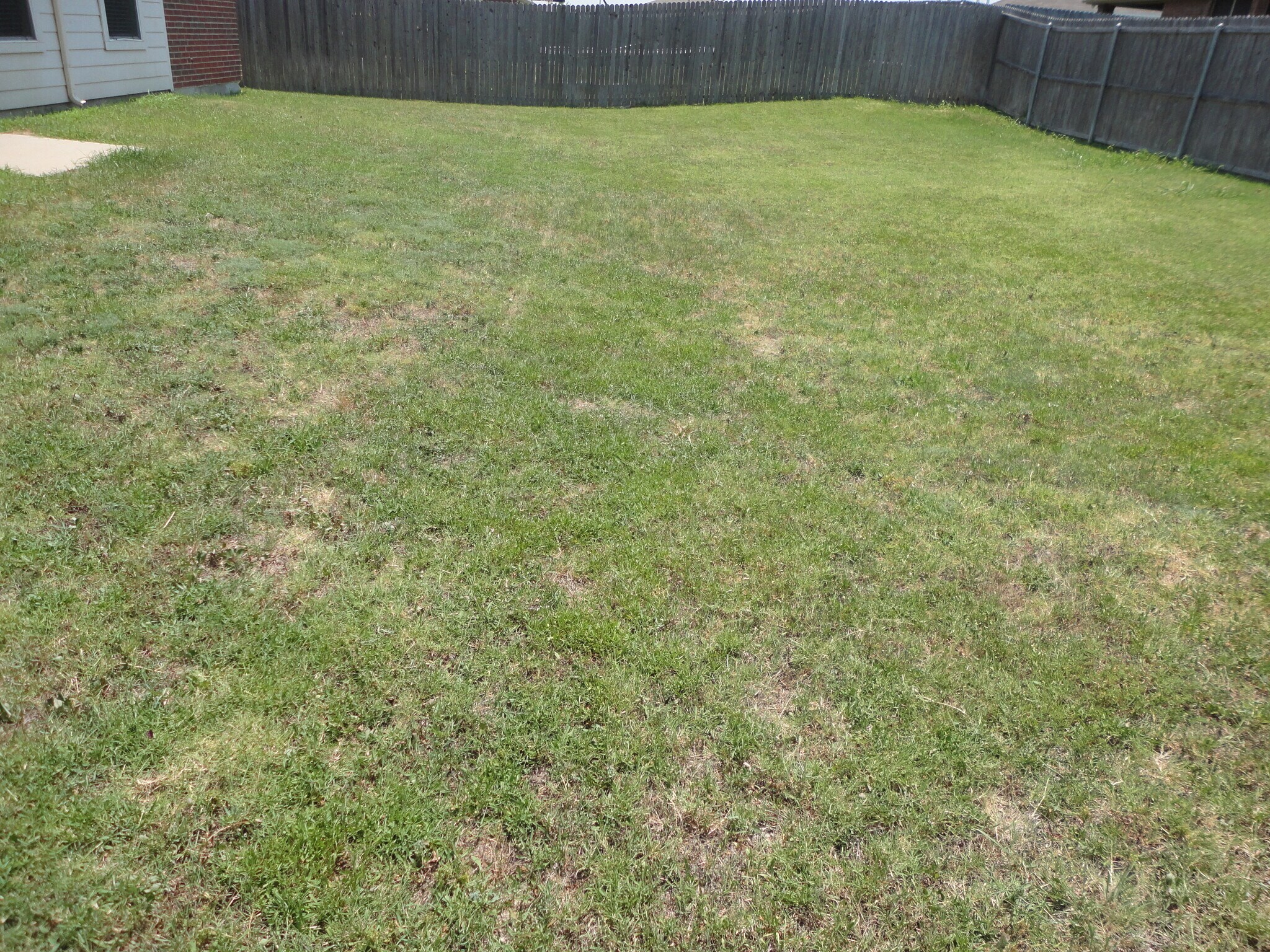 Building Photo - 1505 Shady Shores Dr