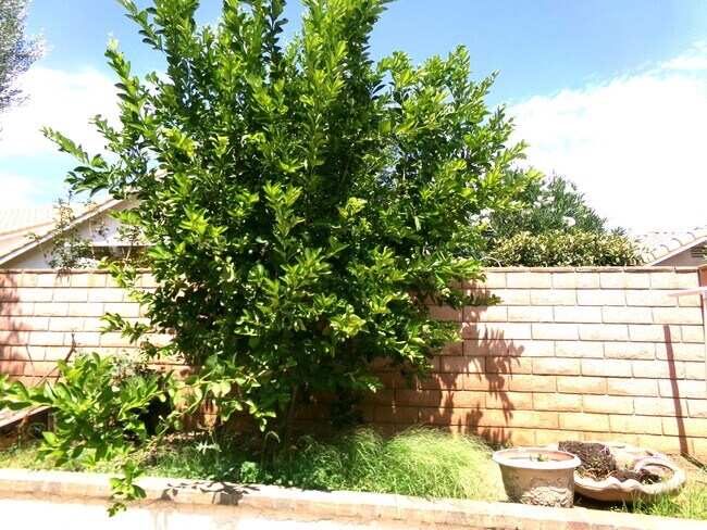 Building Photo - 4829 W Forest Oaks Ave