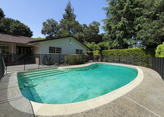 Building Photo - Stunning 4-Bedroom Home with Pool, Solar P...