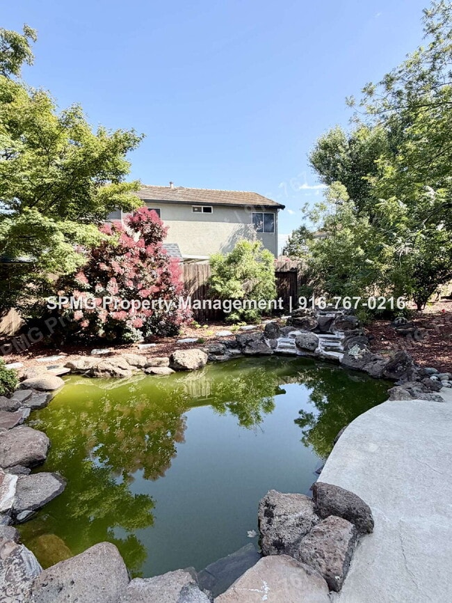 Building Photo - Beautiful 4 Bed / 3 Bath Home in Prime Roseville Location – Across from Park!