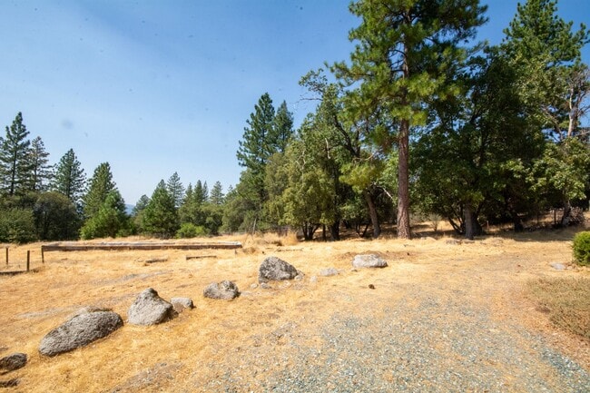 Building Photo - Charming Lindal Cedar Home on 10 Acres