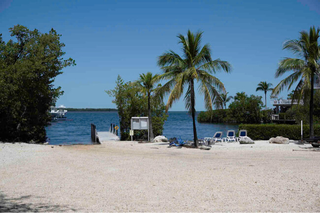 Building Photo - 222 S Coconut Palm Blvd