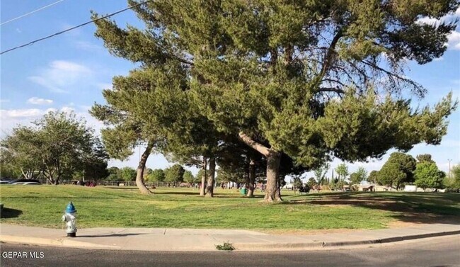 Building Photo - 10604 Springwood Dr