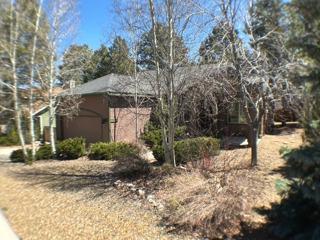 Building Photo - Great single level home in Ponderosa Trails