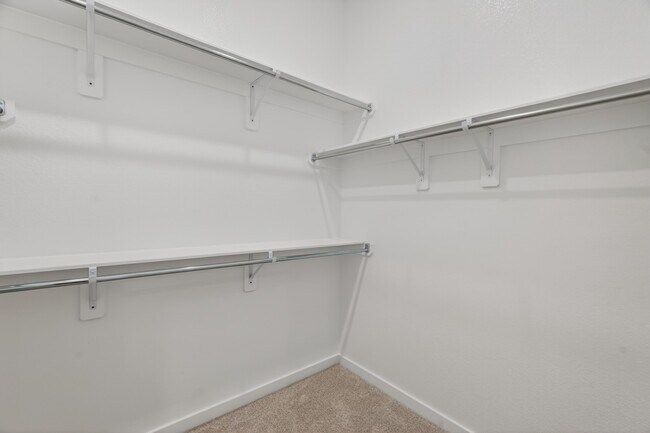 Building Photo - 113 Cypress Pond Pl