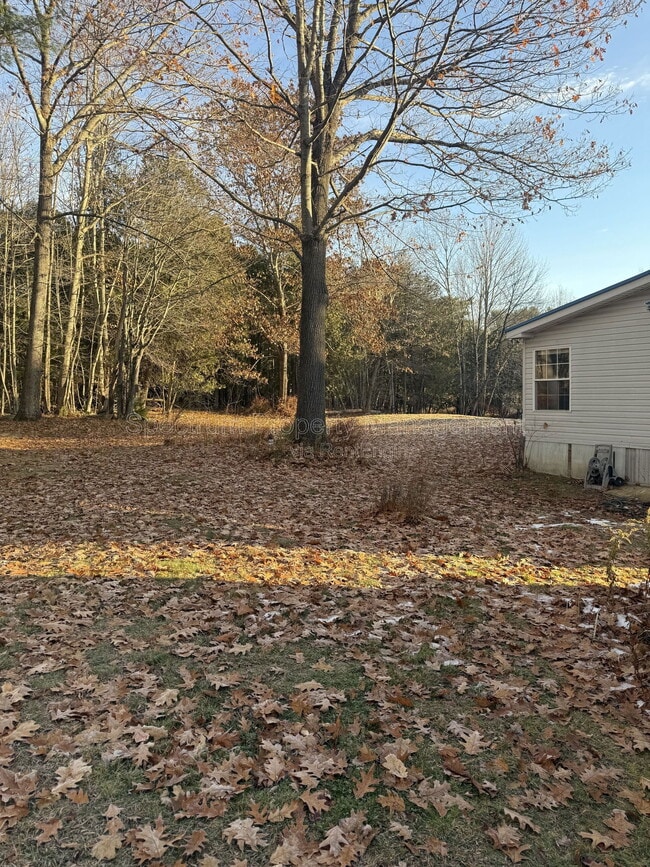 Building Photo - 91 Heath St