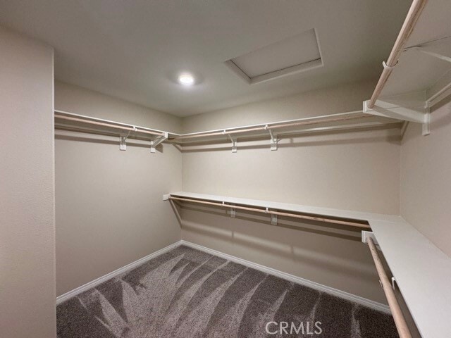 Building Photo - 1760 Chute Dr