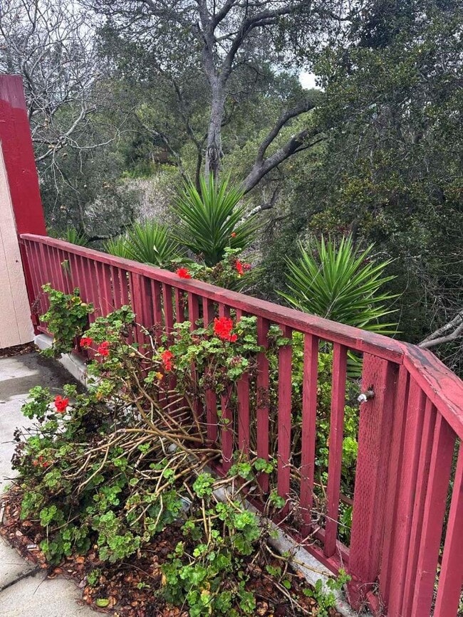 Building Photo - 25 Vía Delizia