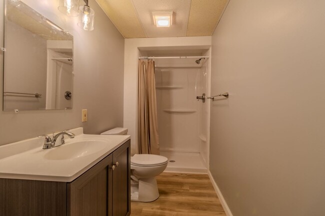 Building Photo - Bright, Beautiful, and Effortlessly Move-In Ready