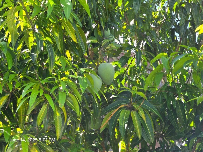 Building Photo - 3530 S 55th Ave