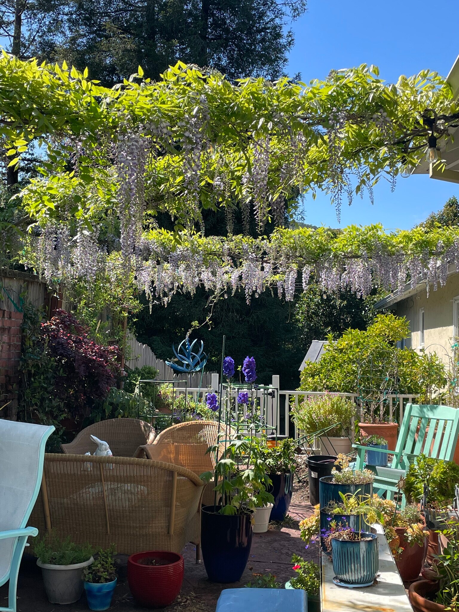 Lovely back yard - 107 Rafael Dr