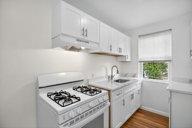 Building Photo - Narcissus