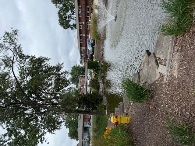 Building Photo - 1500 Busse Rd