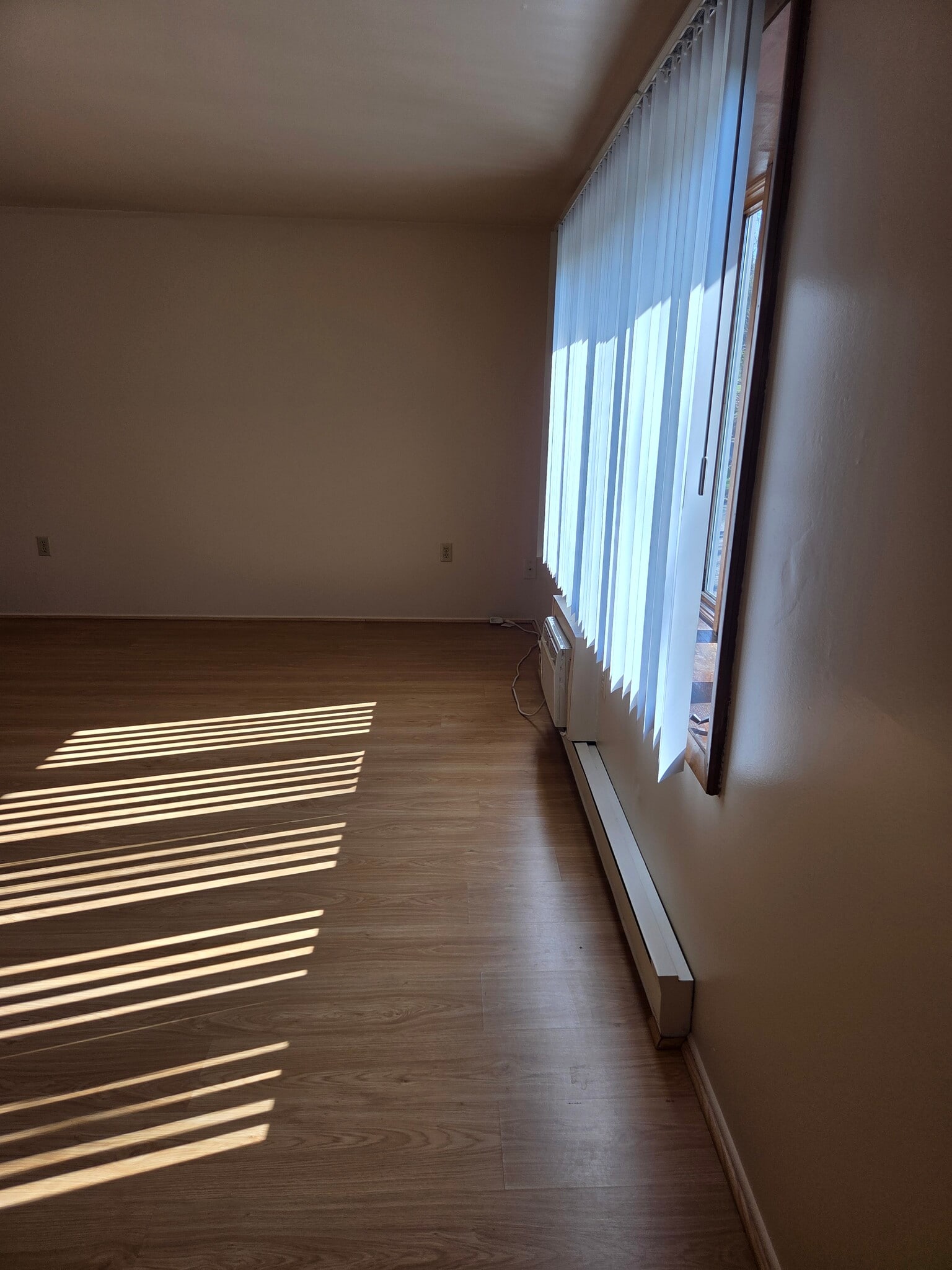 Window blinds included. Bright sunlight in the living room. - 496 Mercer Rd