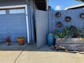 Building Photo - 917 Aloha Ln