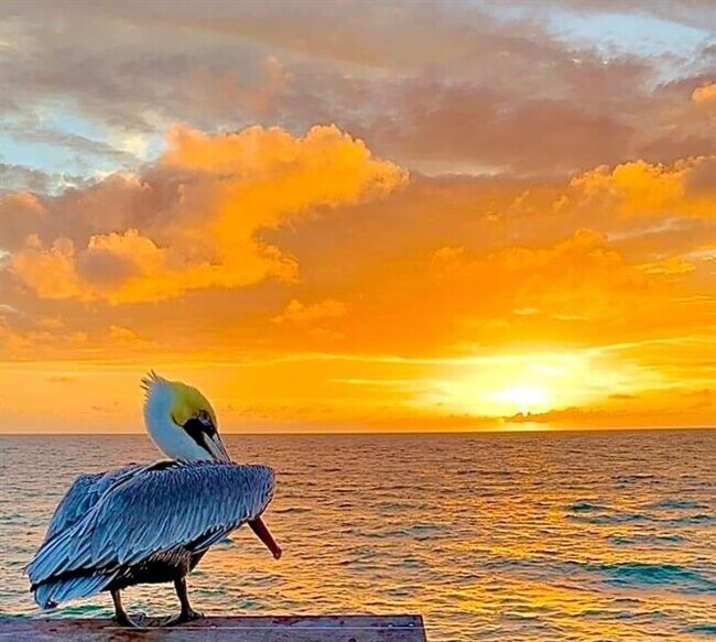 Building Photo - 133 N Pompano Beach Blvd