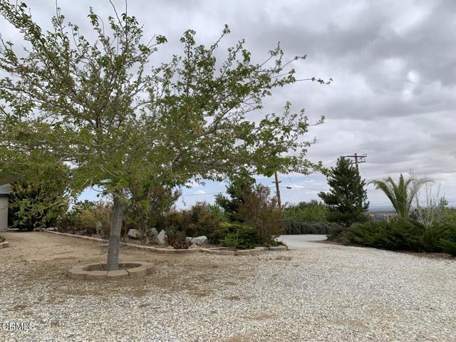 Building Photo - 9020 Pionero Rd