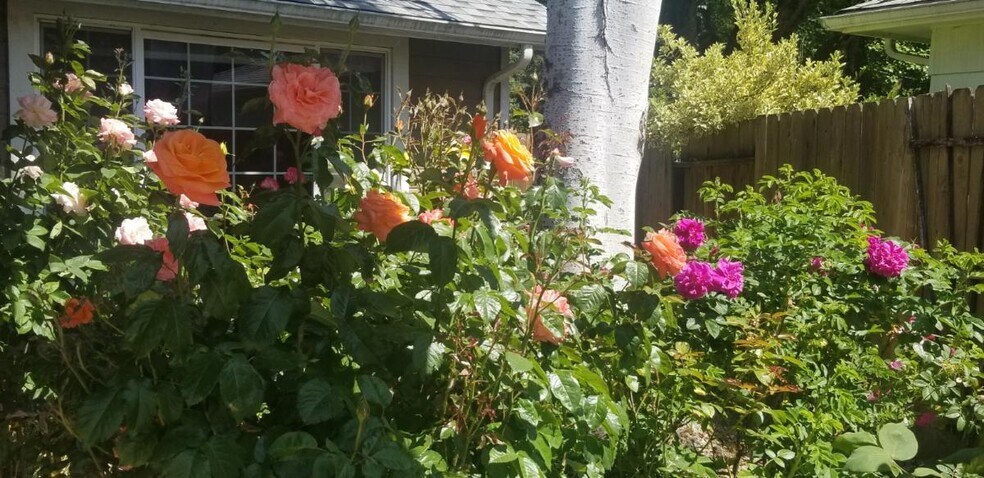 Building Photo - 885 Randall St